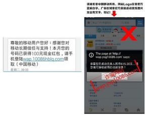 《Q2移動(dòng)安全報(bào)告深度解讀 支付安全問(wèn)題高居榜首，網(wǎng)絡(luò)安全軟件開(kāi)發(fā)迎來(lái)新挑戰(zhàn)與機(jī)遇》